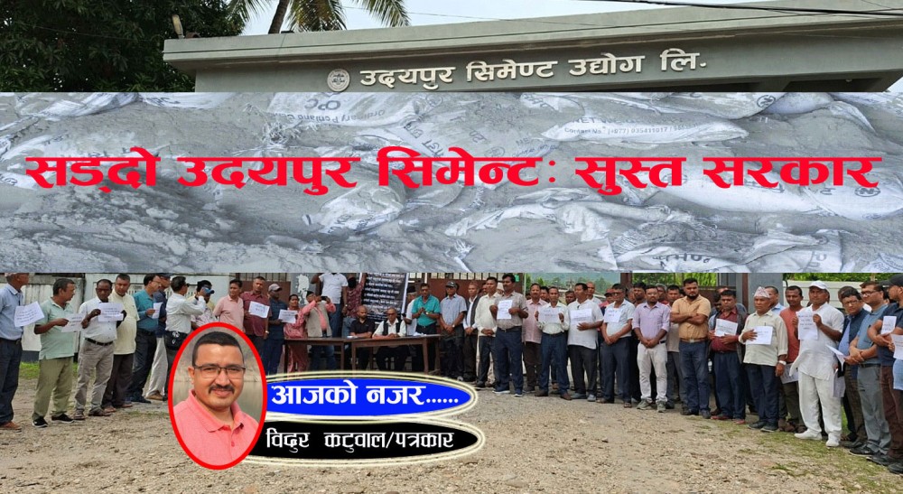 सड्दो उदयपुर सिमेन्टः सुस्त सरकार
