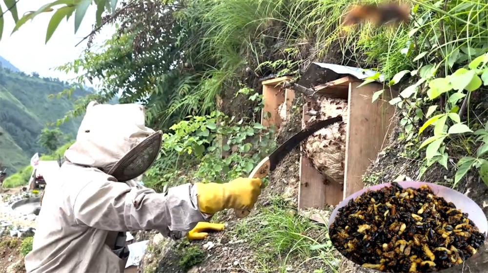 पाहुनाको रोजाईमा अरिङ्गाल