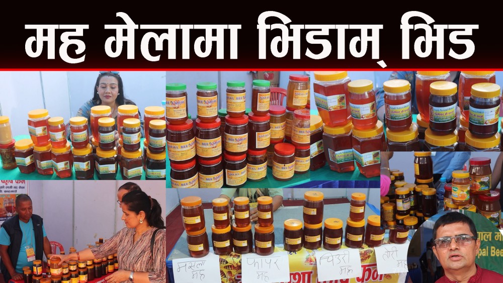 भृकुटीमण्डपमा शुरु भयाे मह मेला
