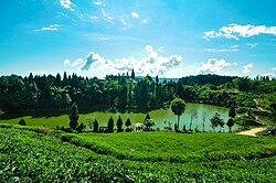 श्रीअन्तु–कन्यामको काखमा बितेको एक दिन