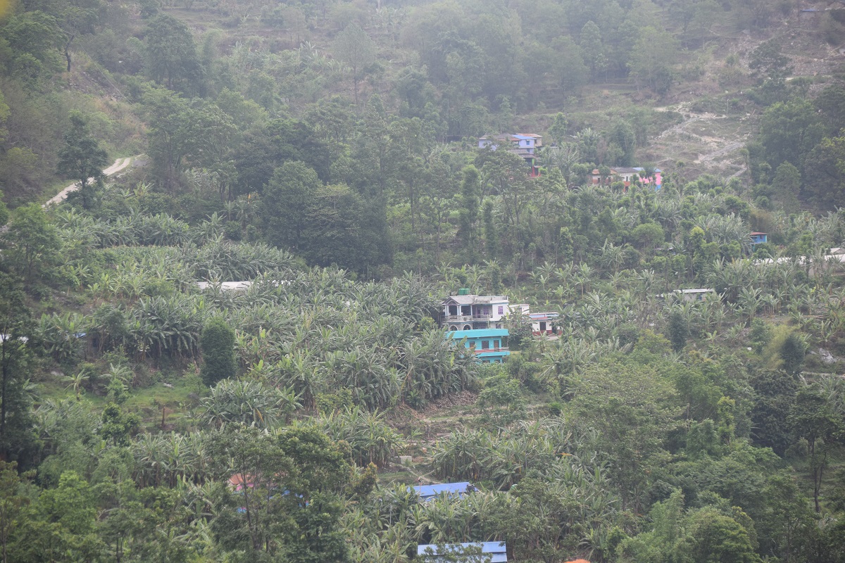 केराखेतीबाट कराेडाैं आम्दानी