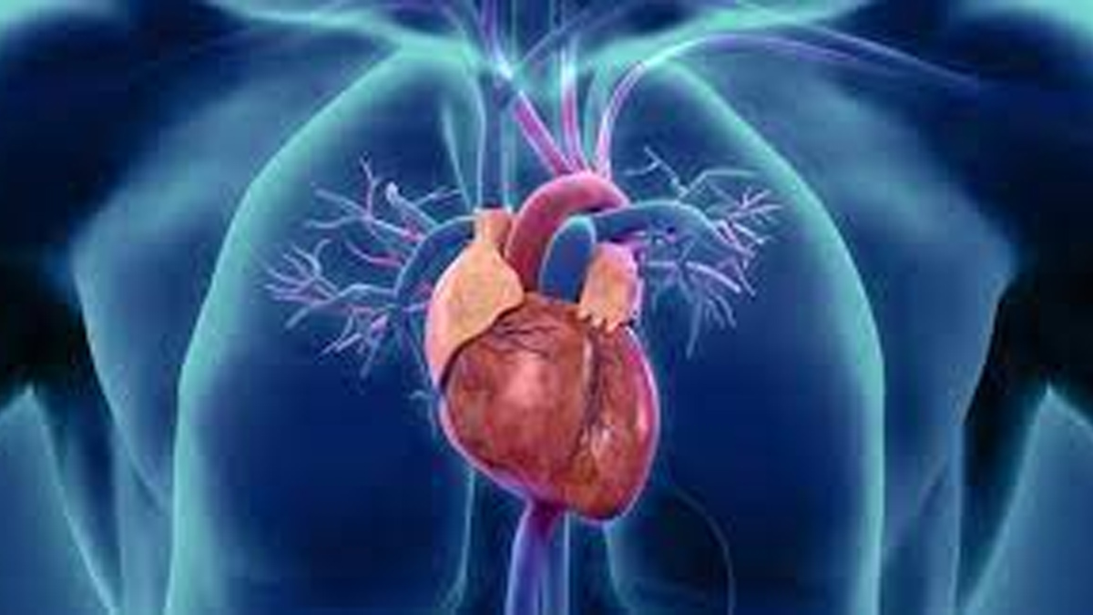 कस्ताे लक्षण देखिए जन्मजात मुटुको समस्या हुनसक्छ ?