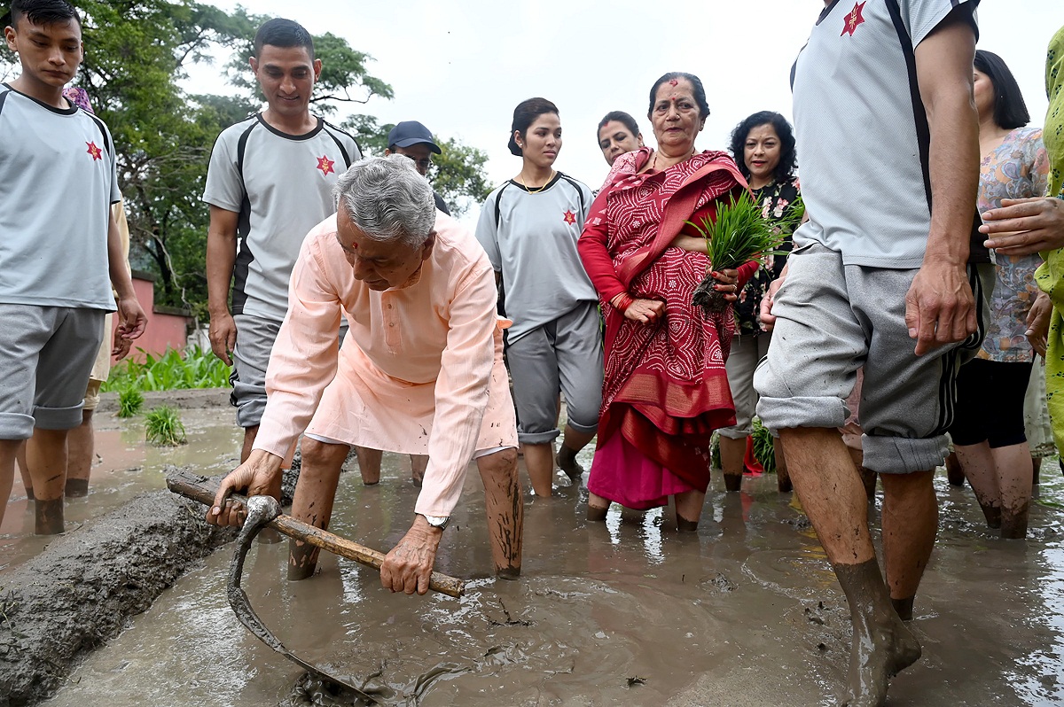 धान रोपाईँ सहभागी हुँदै राष्ट्रपति पौडेल