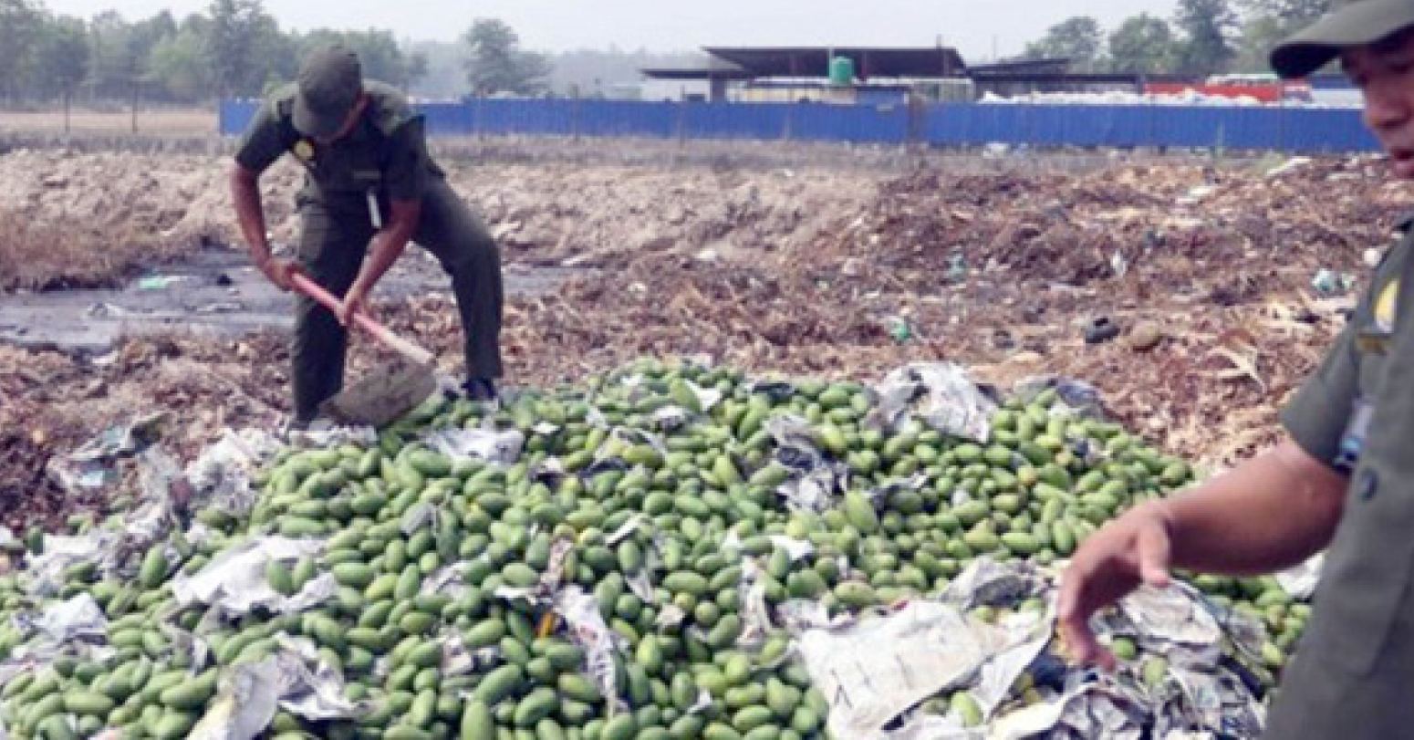 कैलालीमा विषादी प्रयाेग गरिएकाे आँप जफत