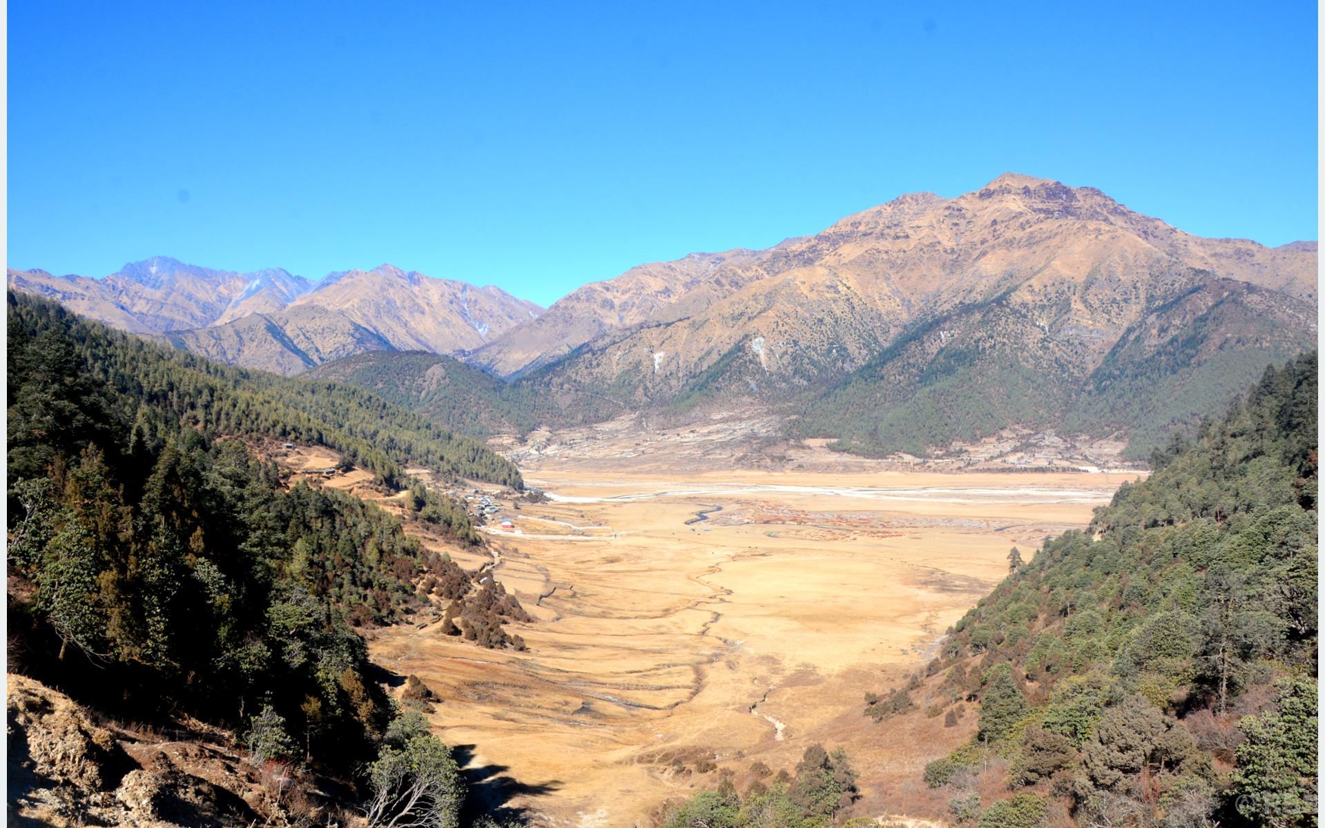 विकासवादी नेतृत्वकाे पर्खाइमा बागलुङ