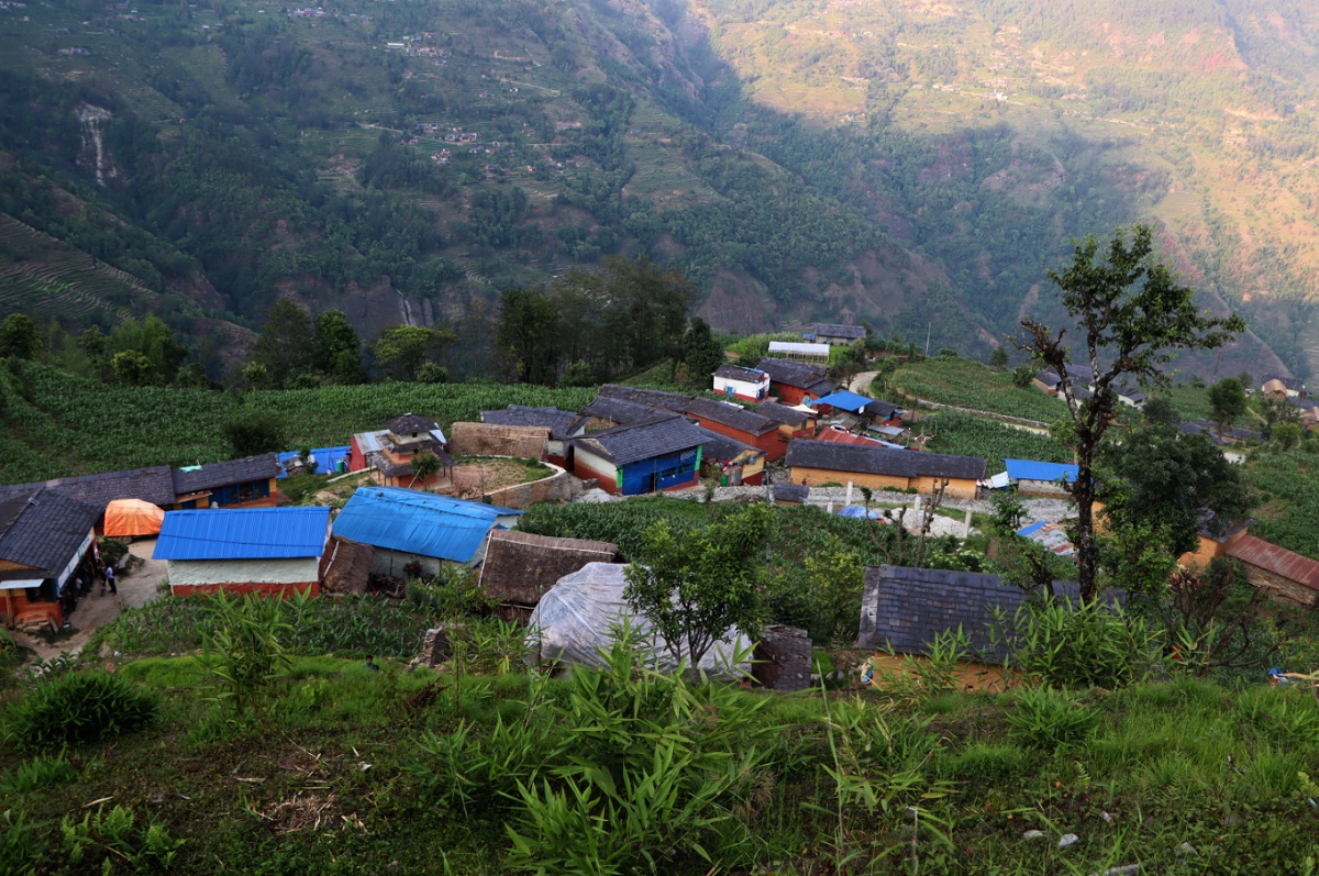 गाउँ रित्तिएर सुनसान, खेतीयोग्य जमिन वनमाराले ढाके