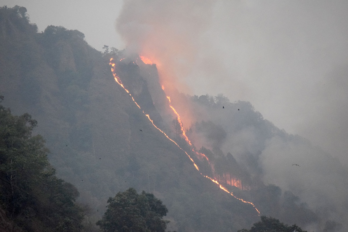 चार सय ३६ स्थानमा डढेलो