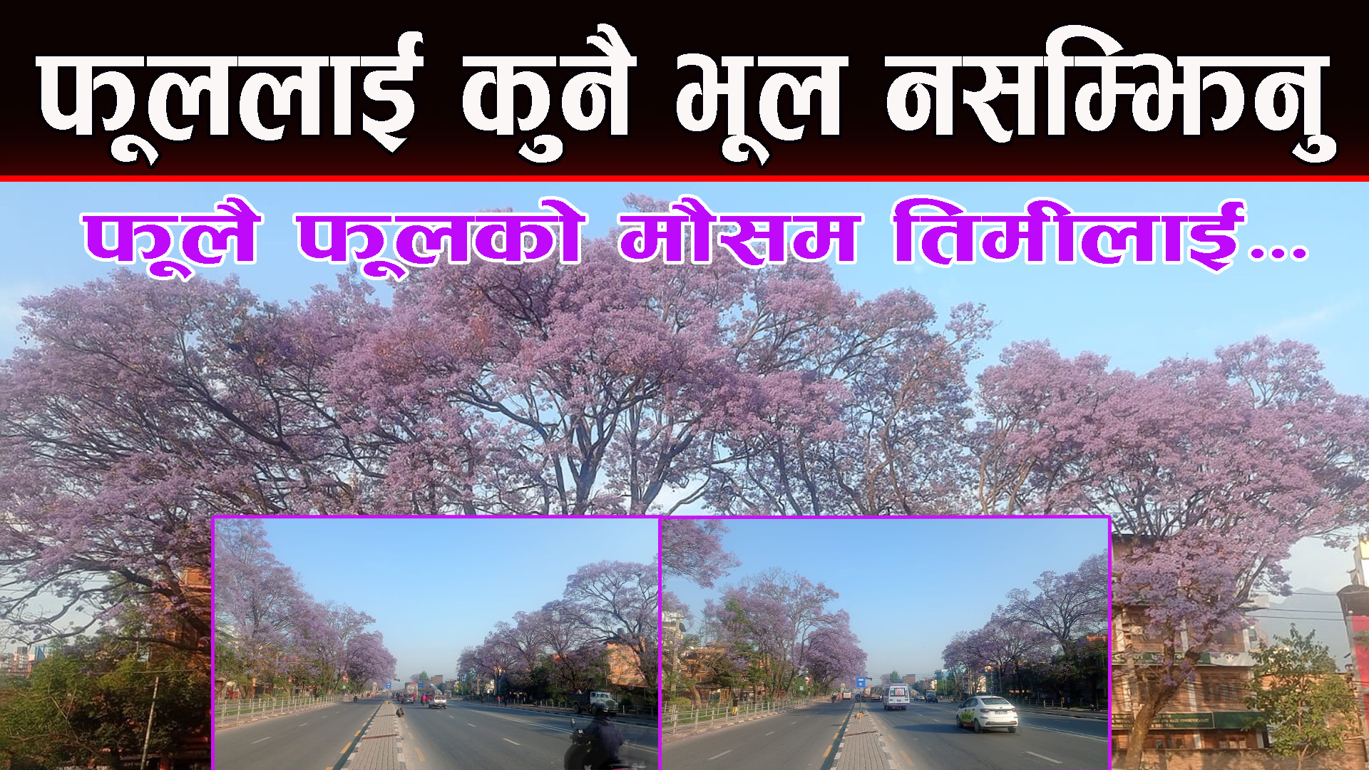 सेल्फि हान्नेको ओइरो