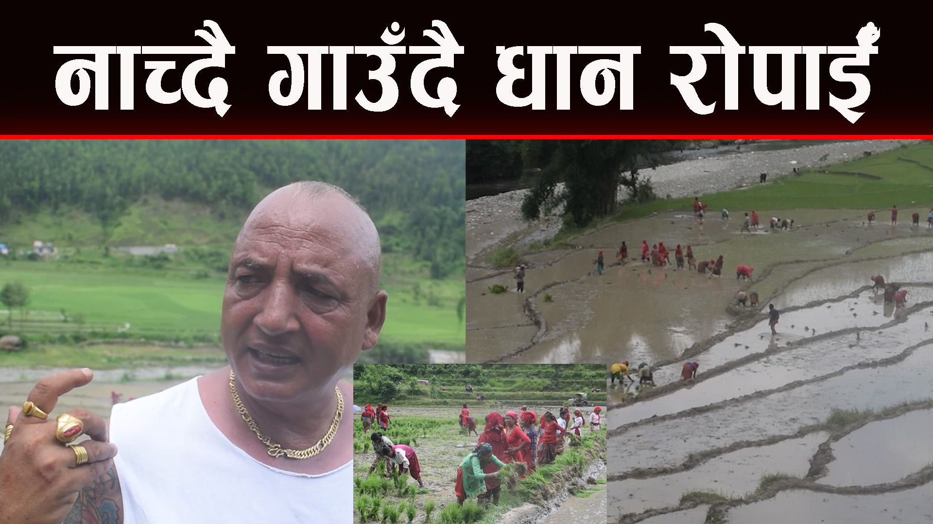 सहरबाट गाउँ फर्केर चार सय मुरी धान उत्पादन