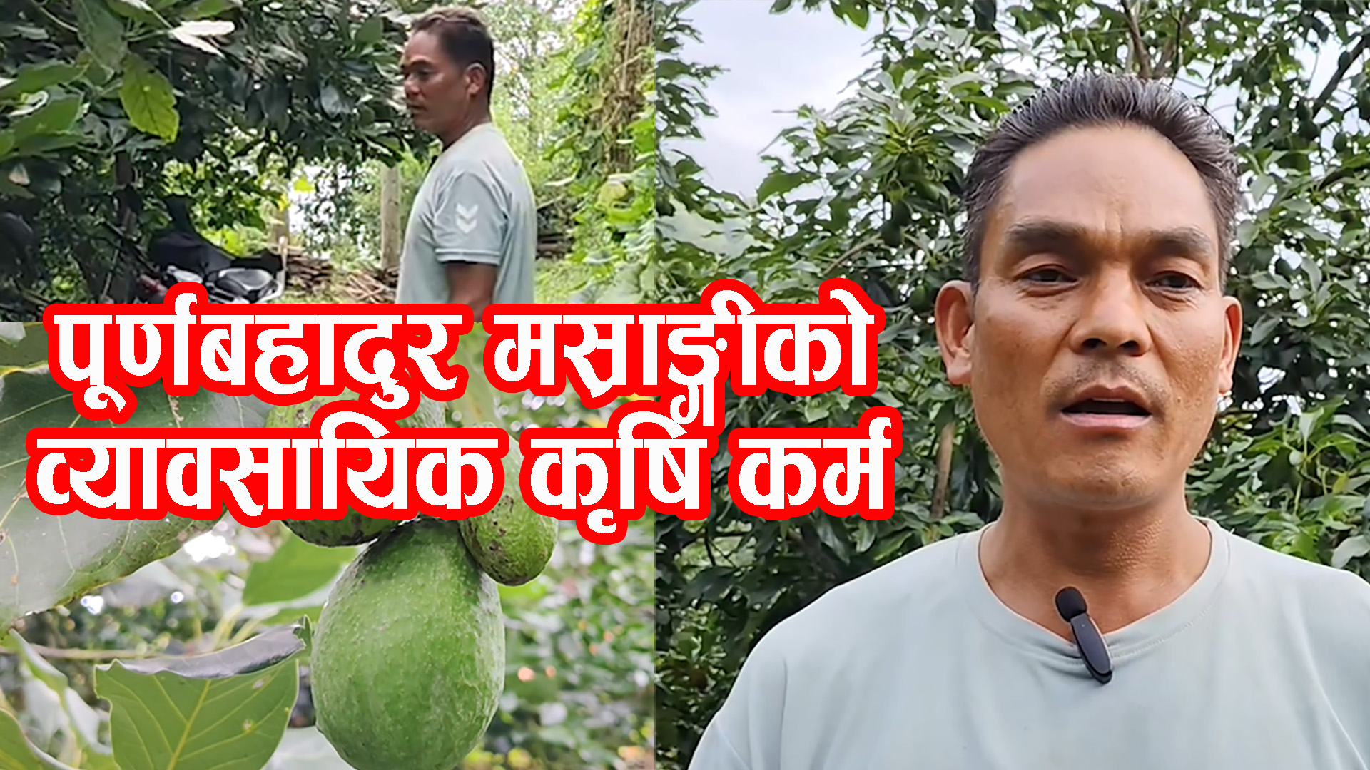सिन्धुलीका सफल कृषक पूर्णबहादुर मस्राङ्गीको कथा