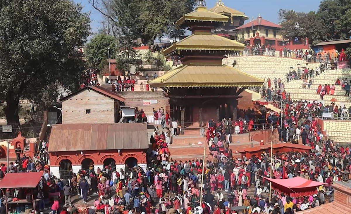 शालीनदी मेलामा घुइँचो