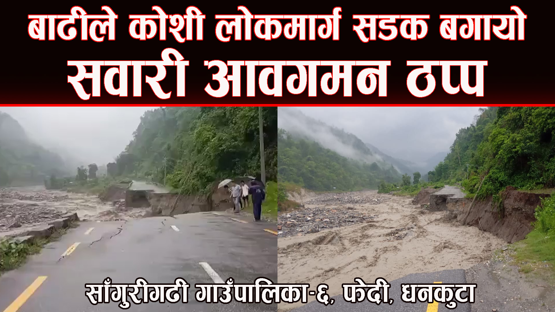 बाढीले कोशी लोकमार्ग सडक बगायो, आवत–जावत ठप्प
