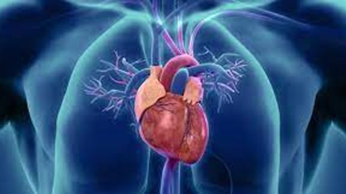 कस्ताे लक्षण देखिए जन्मजात मुटुको समस्या हुनसक्छ ?