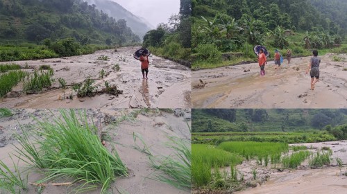 बाढीले १३७ मुरी फल्ने धानखेत बगर बनाइदिए